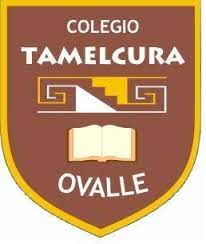 tanmelcura